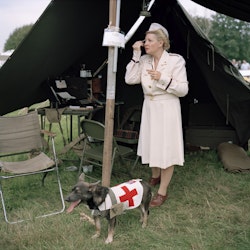 Preparing for a Second World War re-enactment event in Ursel, Belgium, 2011