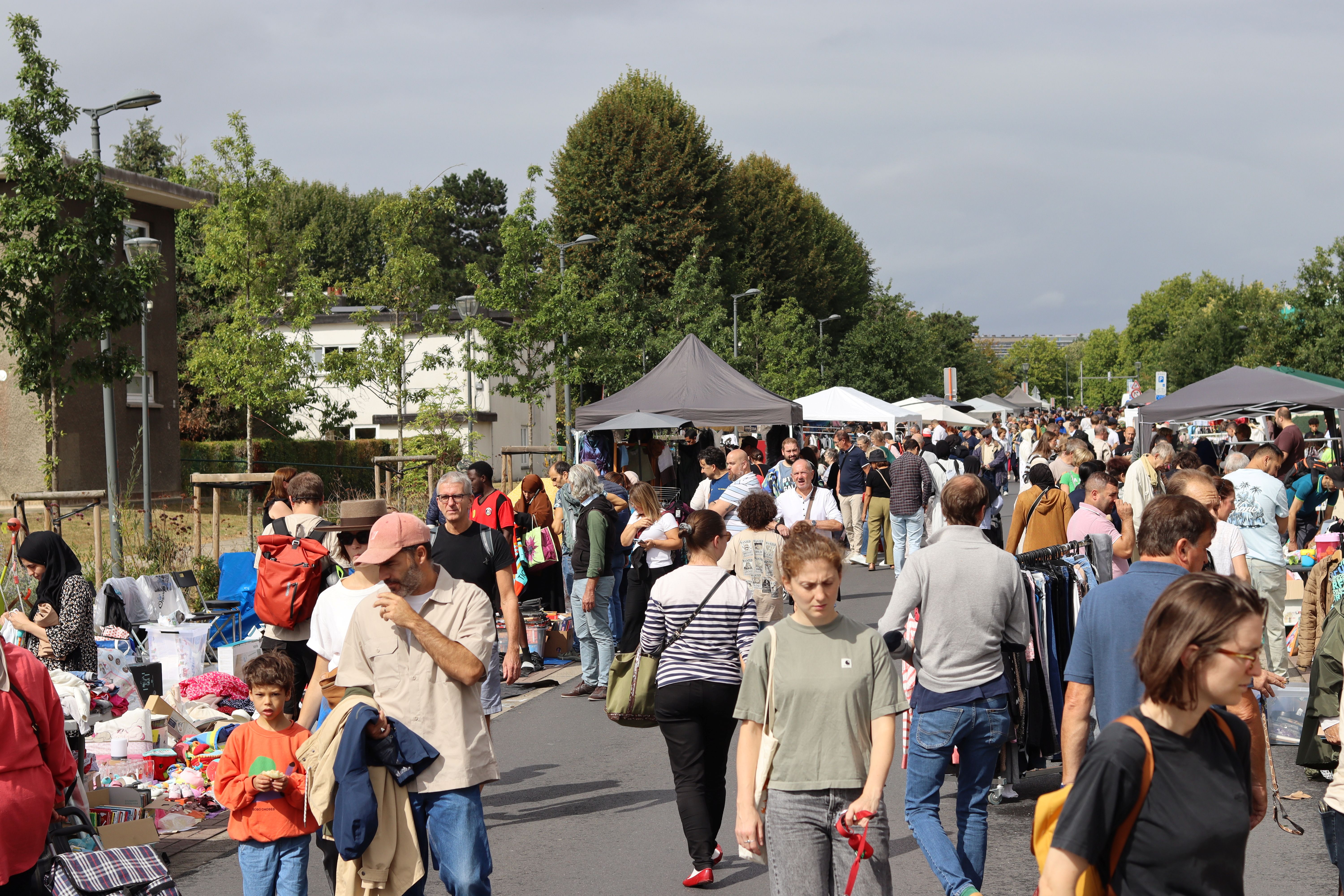 Brocante de Kapelleveld — Alliance Bruxelloise Coopérative