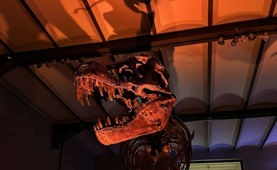 Halloween@museum