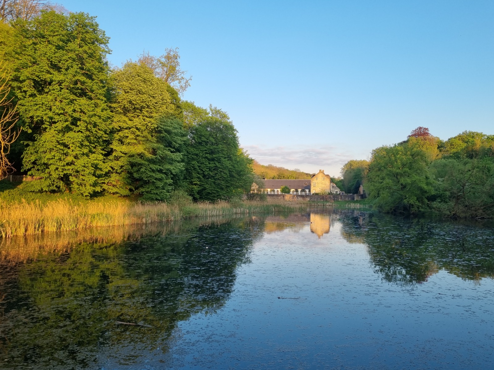 Balade estivale à Rouge-Cloître — Hêtre Sauvage