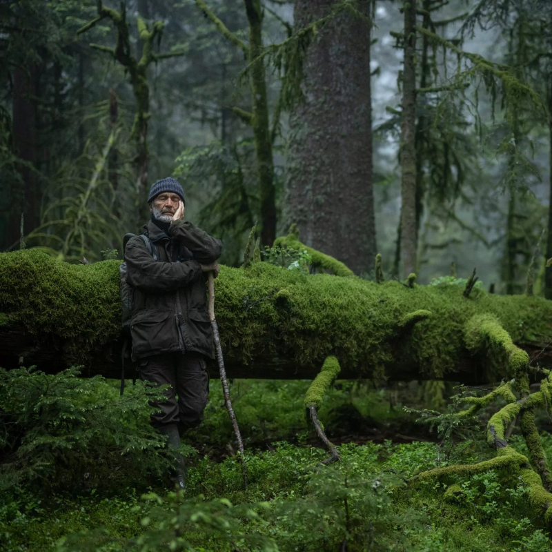 Le Chant des forêts