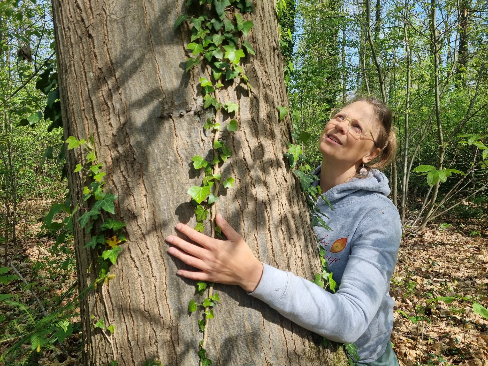 Bain de forêt (sylvothérapie)