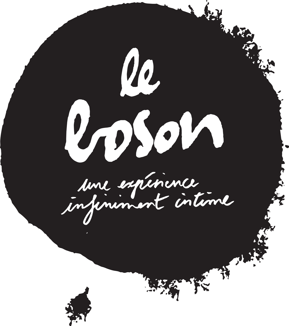 le-boson-visit-brussels