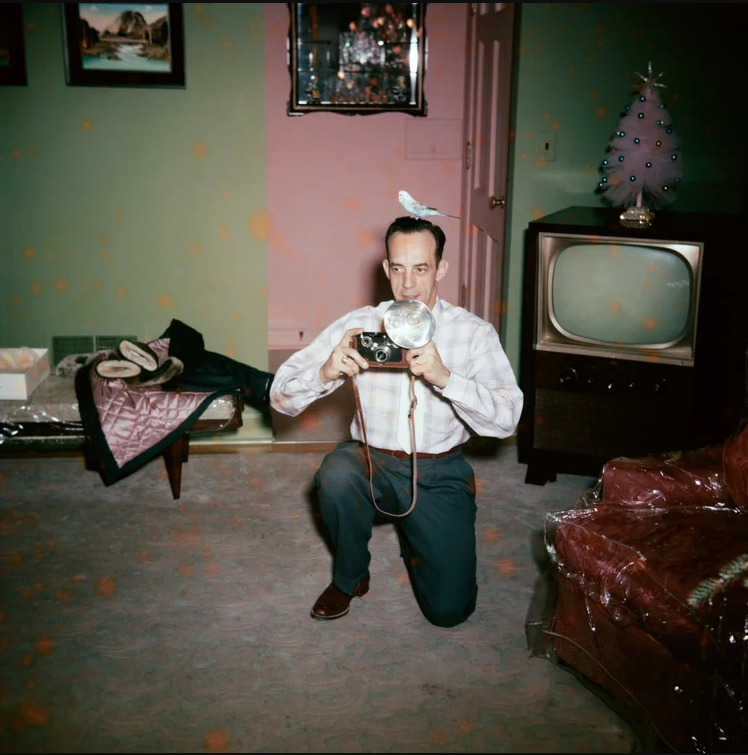 Lee Shulman/The Anonymous Project - 'The House'