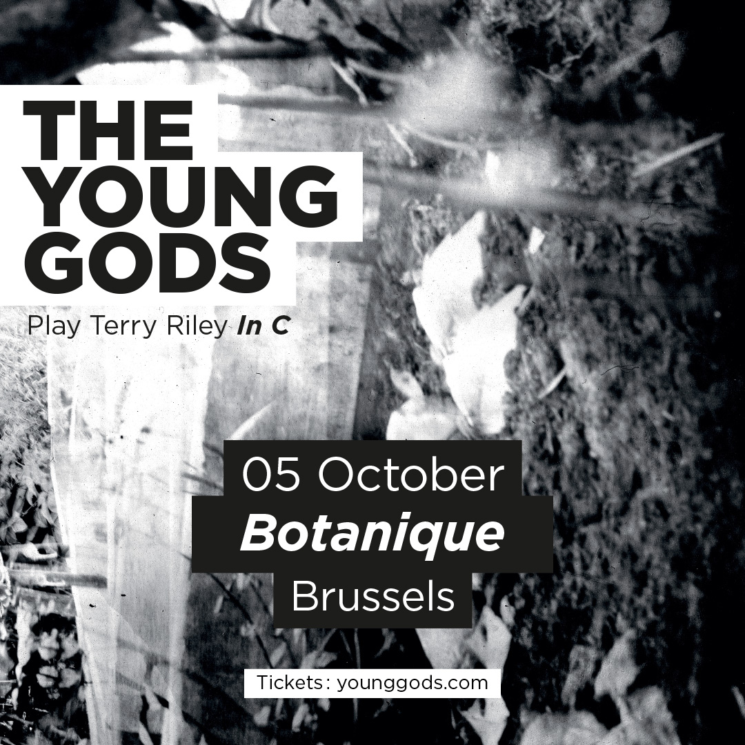 The Young Gods "Play Terry Riley In C" - Iva Bedlam