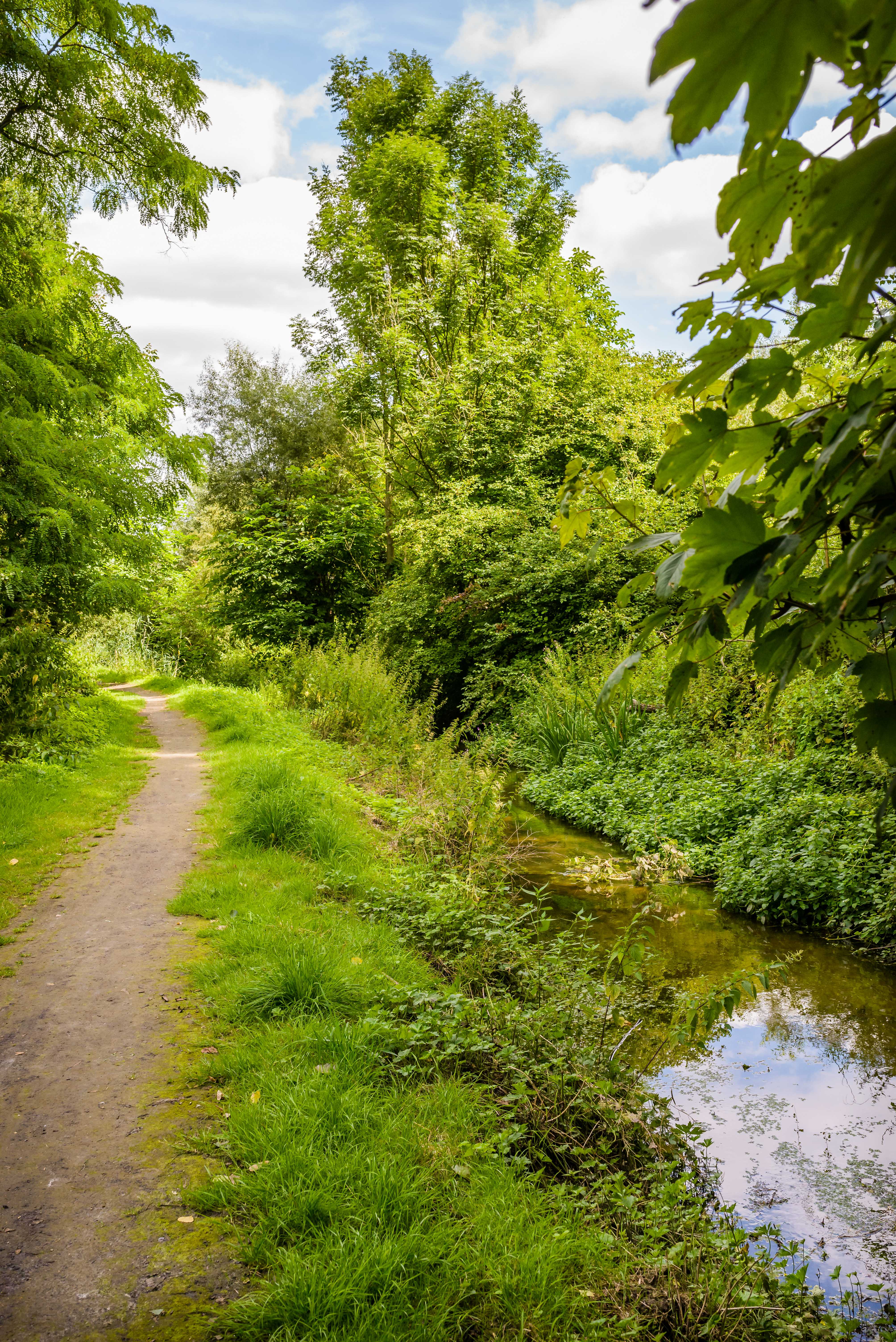 La Woluwe : le charme d’une vallée en mutations — Woluwe