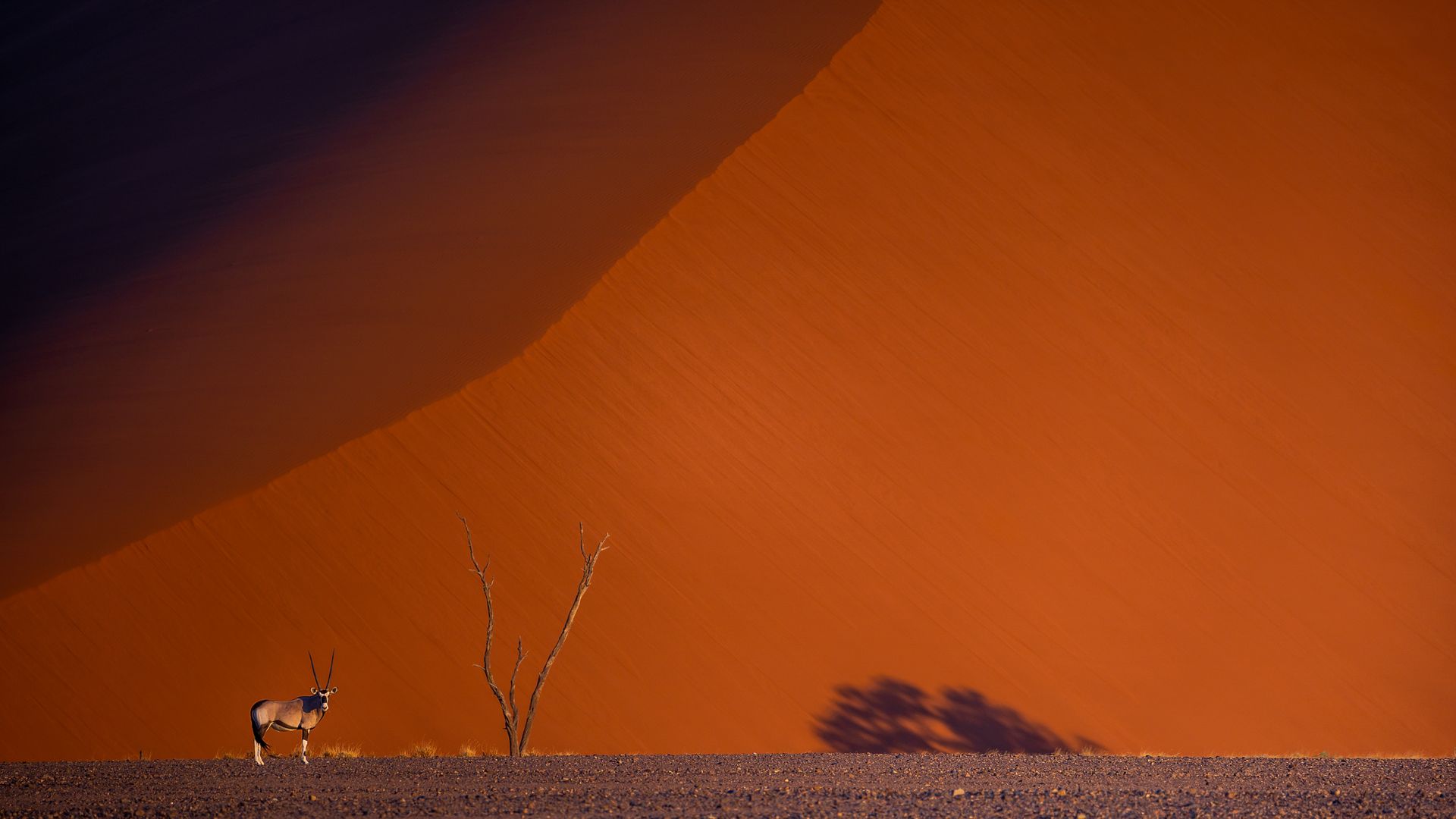 Exploration du Monde Namibie, exceptionnelle par nature