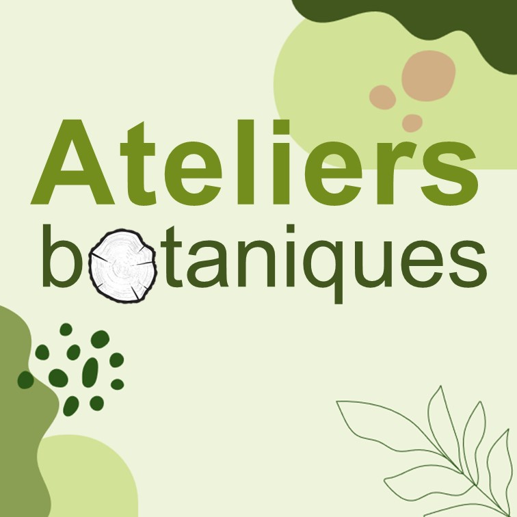 Les micro-habitants des arbres — Jean Massart Botanical Garden (ULB)