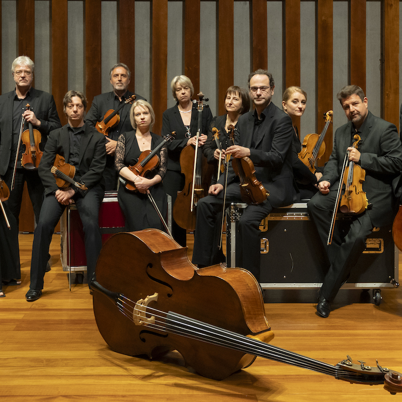 Musical Spring of Silly - Tribute to Nino Rota