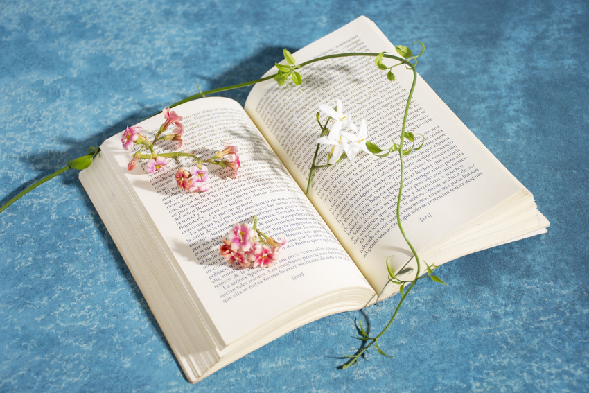 I say books! The library's book club
