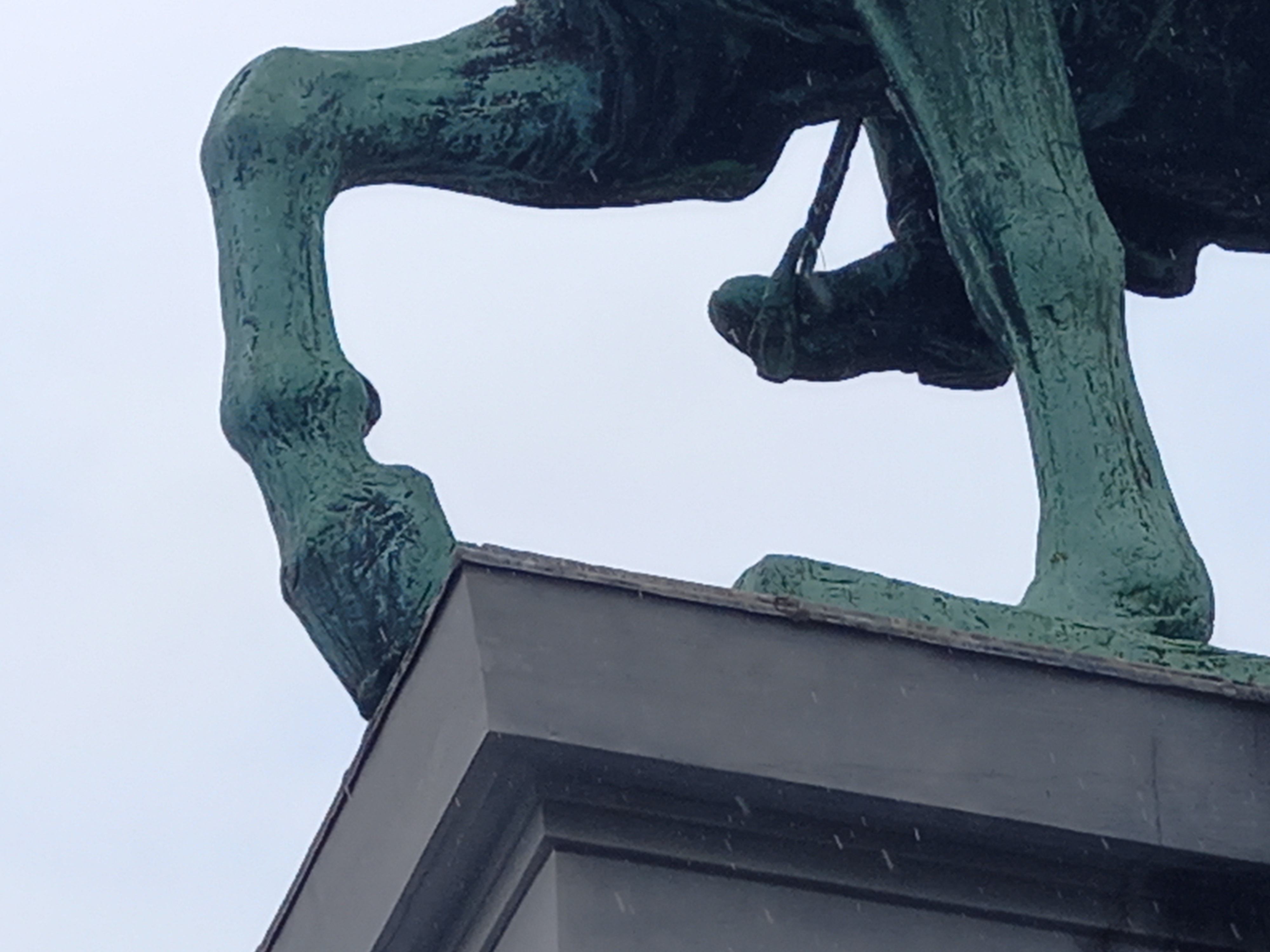 Hoch zu Ross: 5 Reiterstandbilder - alternative Stadtführung auf Deutsch — statue Léopold II