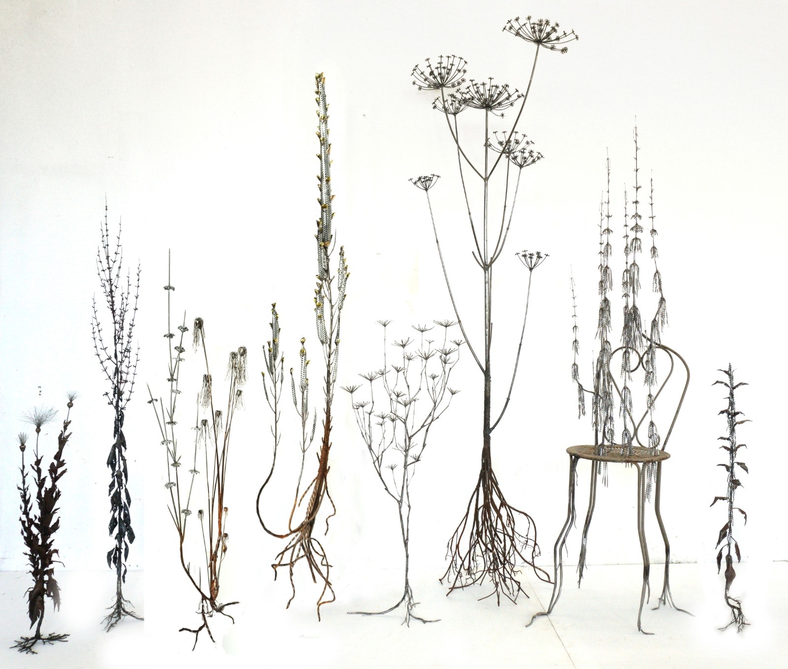 Dmitry Bulnygin. "Weeds" series, 2025, iron, transparent varnish, H 85 - 230 cm