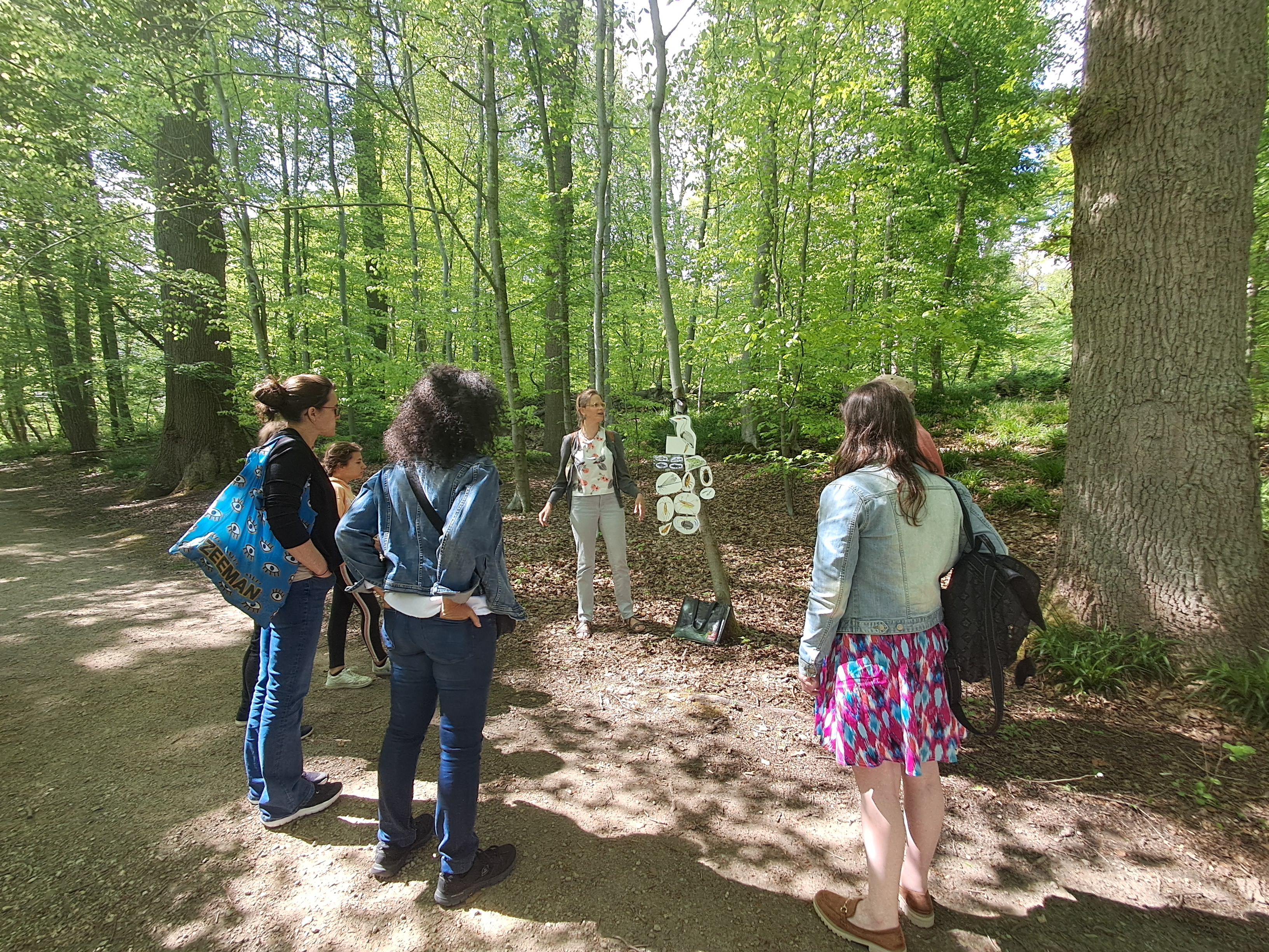 Forêt de Soignes * Traces et indices des animaux