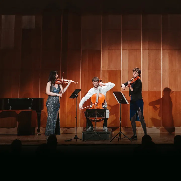Ensemble satellite