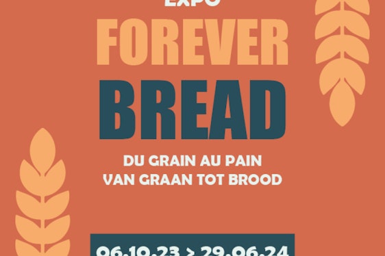 Forever Bread - du grain au pain