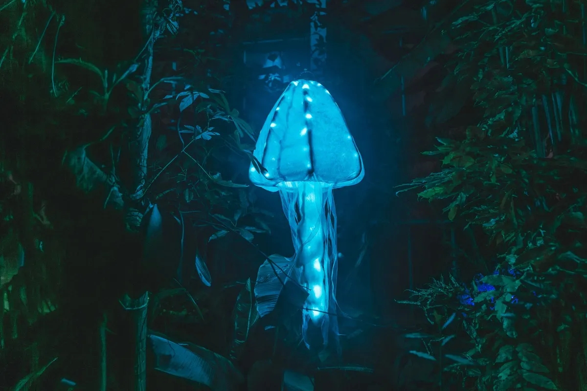 Festival des lumières Floridylle – Le Monde Merveilleux de l’Eau