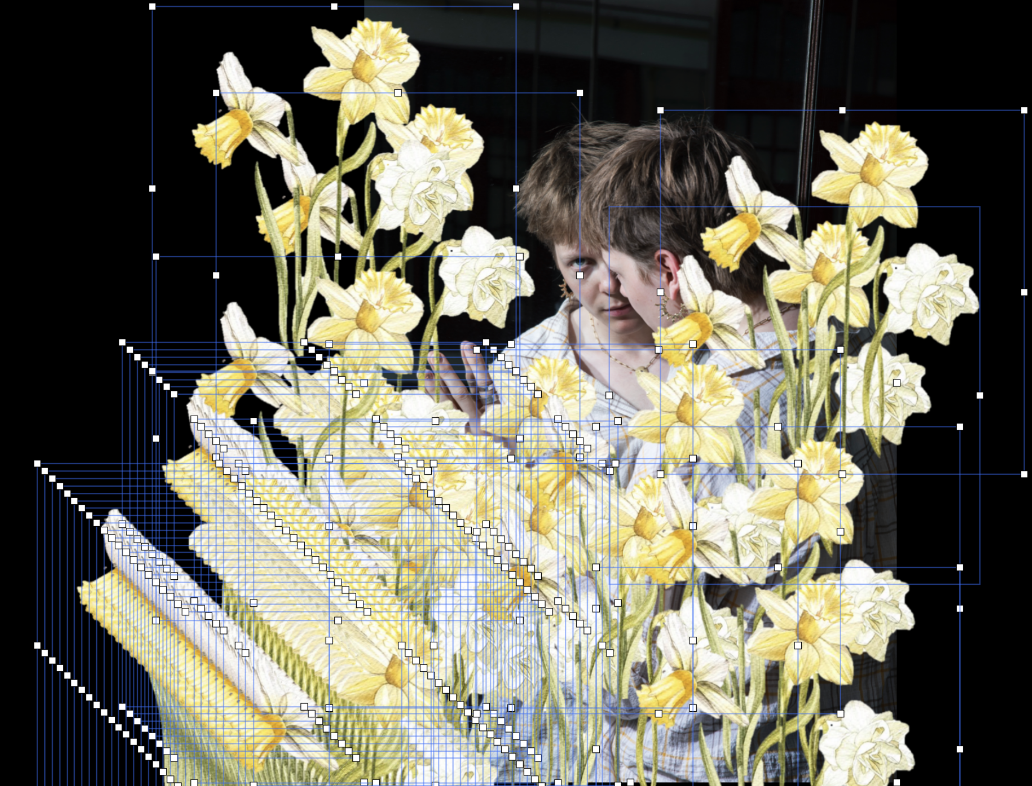 Wild Narcissus - Bavo Buys — Theater1150