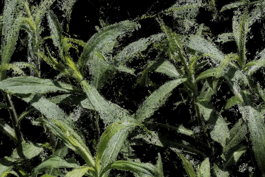 Clement Valla, Overgrowth, 2021 (detail) Courtesy the artist