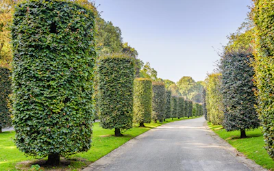 Tous les parcs bruxellois | Visit Brussels