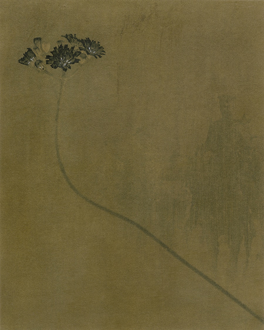 G - Lee SOPHIE ZE╠üNON ÔÇô BauhinÔÇÖs Hawkweed Herbarium, Botanical Plate, 40├ù30ÔÇ»cm, Print on Japanese paper mounted on BFK Rives. Washes. Pencil highlights, 2024