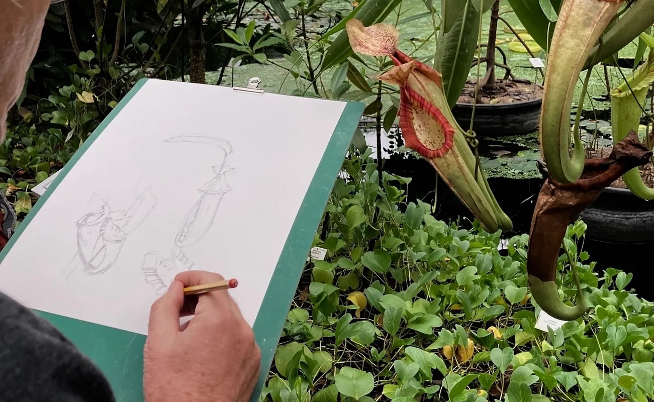 Workshop in nature drawing and watercolour painting with Marijke Meersman (beginner)