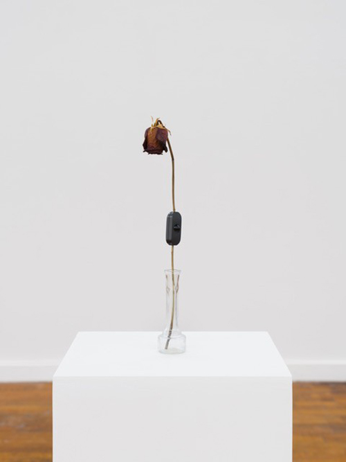 Peter De Meyer - 'Uppers and downers'