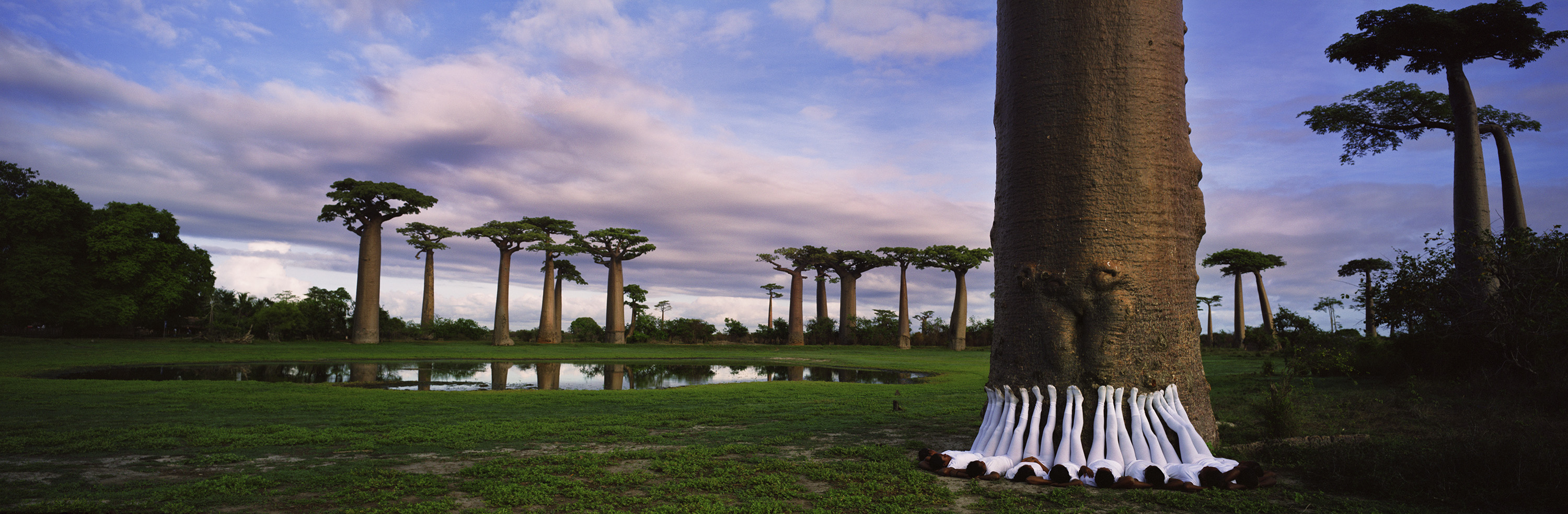 courtesy Michèle Schoonjans Gallery