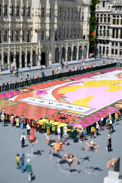 Avant-première of the Flower Carpet on the Grand Place at Mini-Europe