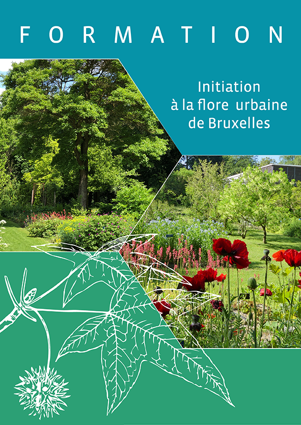 Introduction to the urban flora of Brussels