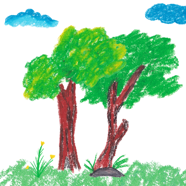 Atelier créatif : Ma forêt