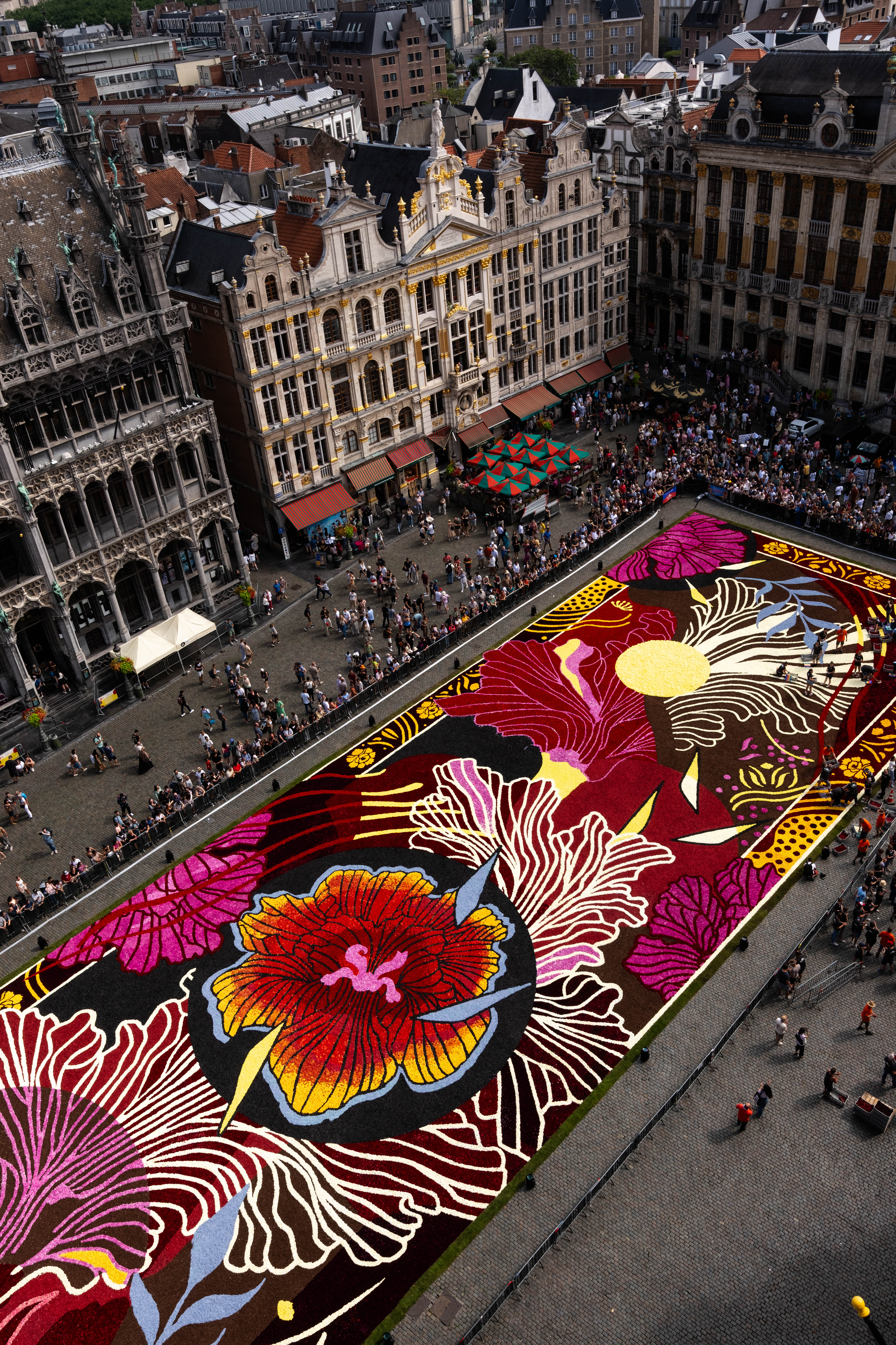 The View Tower Experience — City of Brussels Town Hall