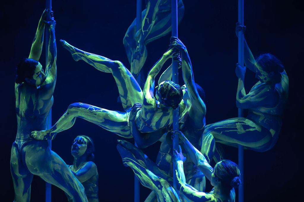 "Submersion" - Pole Art Show — La Fabriek