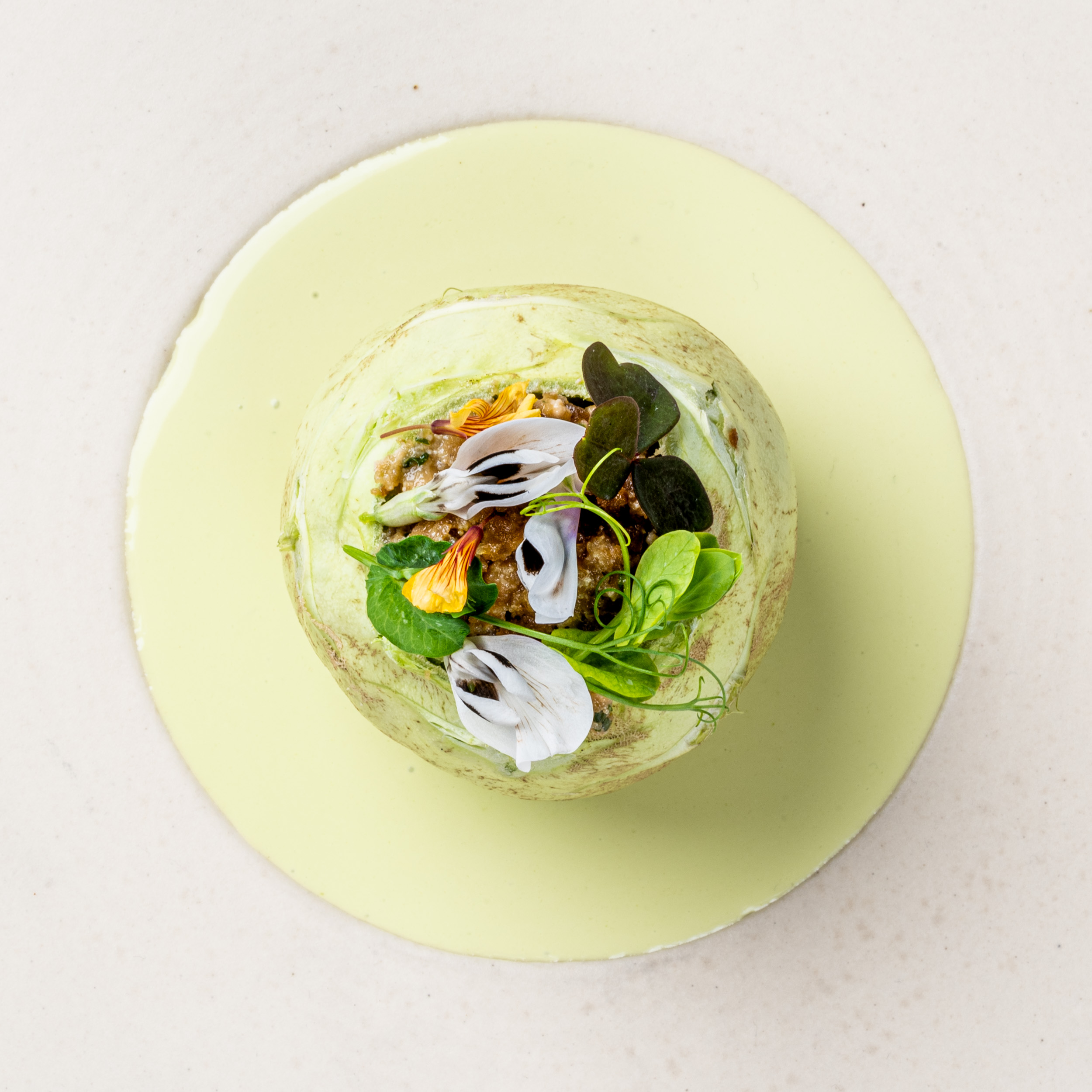 Humus X Hortense Visit Brussels