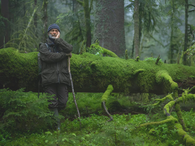 Le chant des forêts