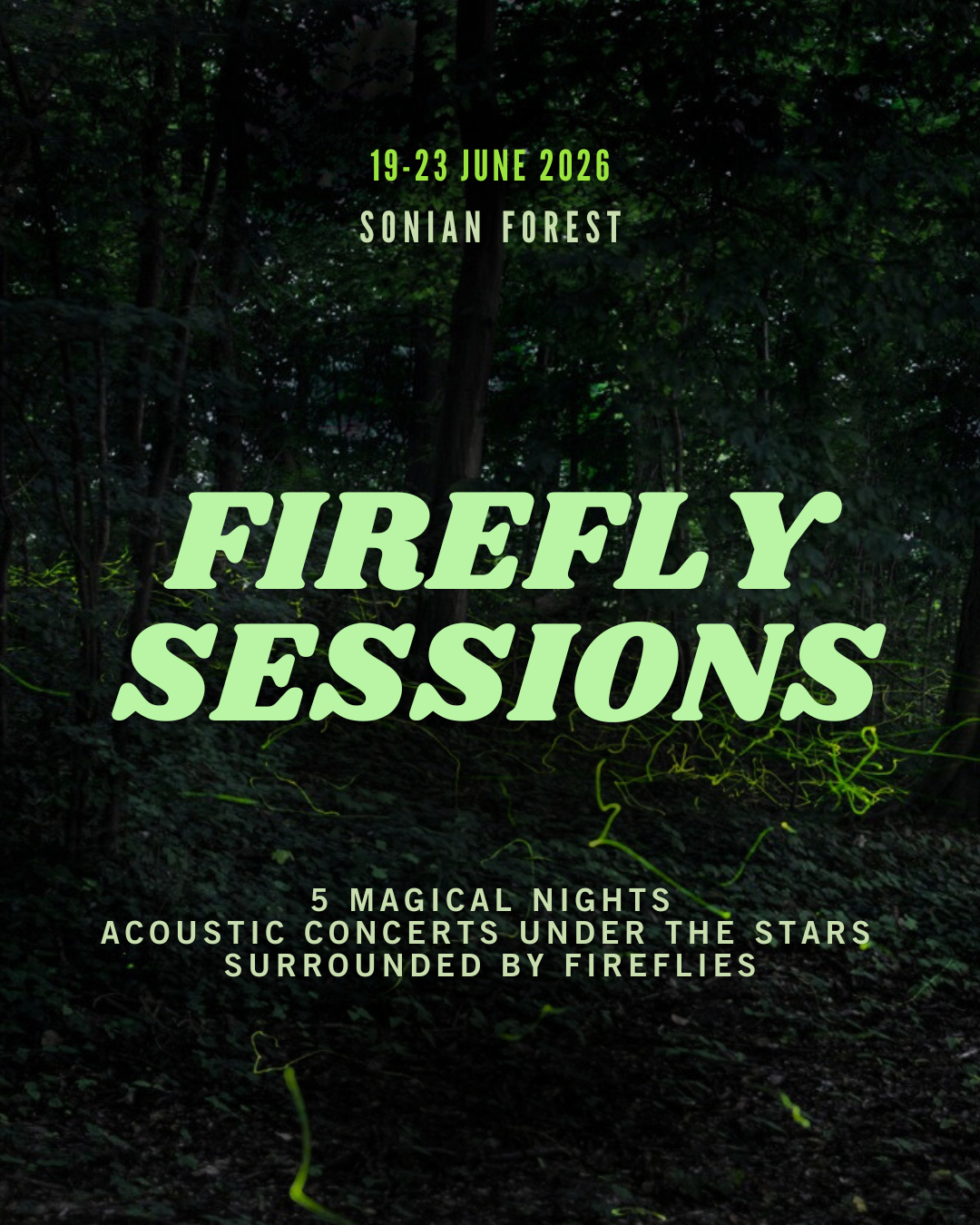 Firefly Sessions — Forêt de Soignes