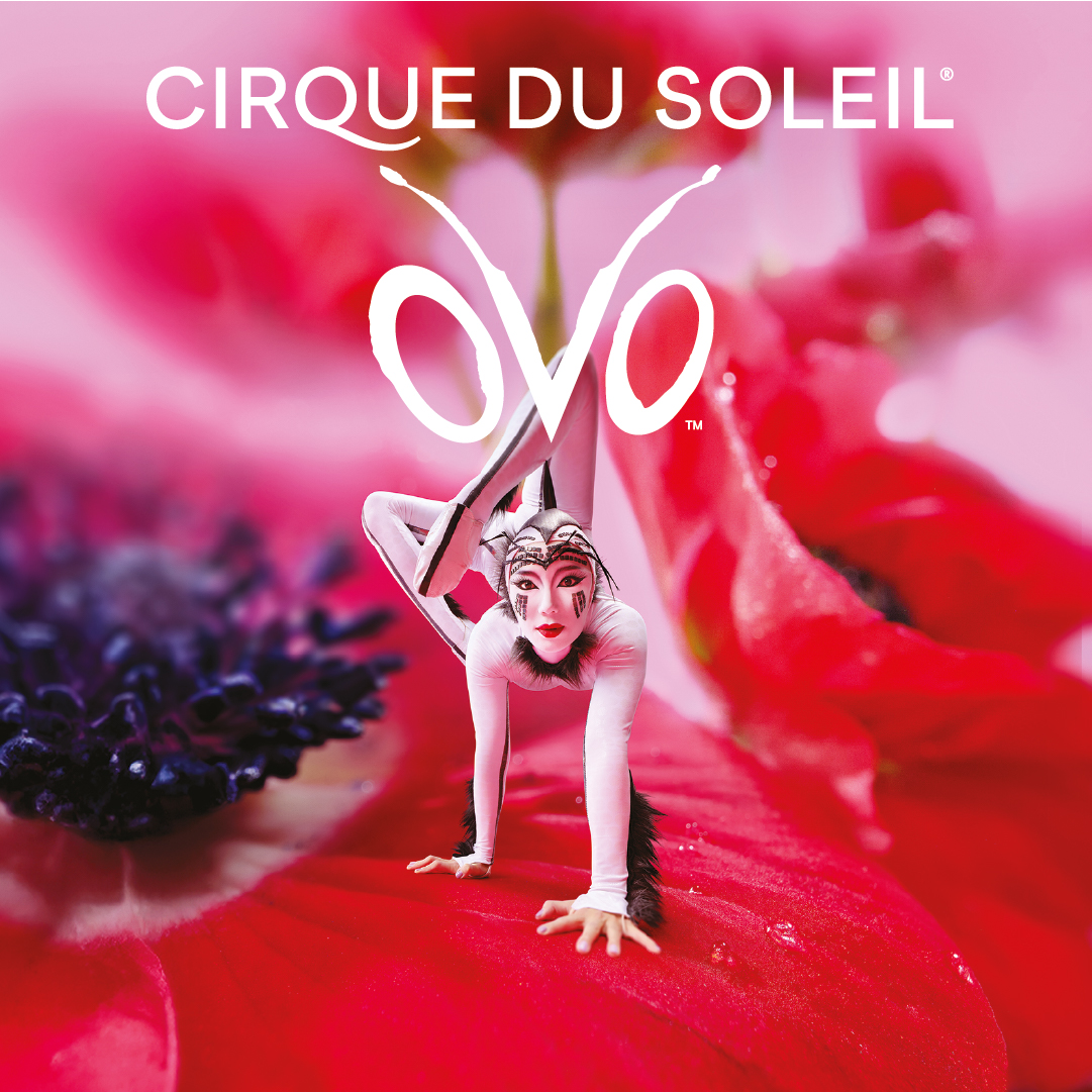 OVO - Cirque du Soleil — ING Arena