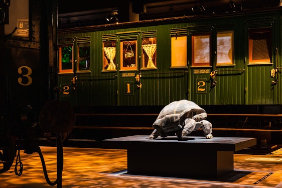 Exhibition: Animalia. Trails of life, railways