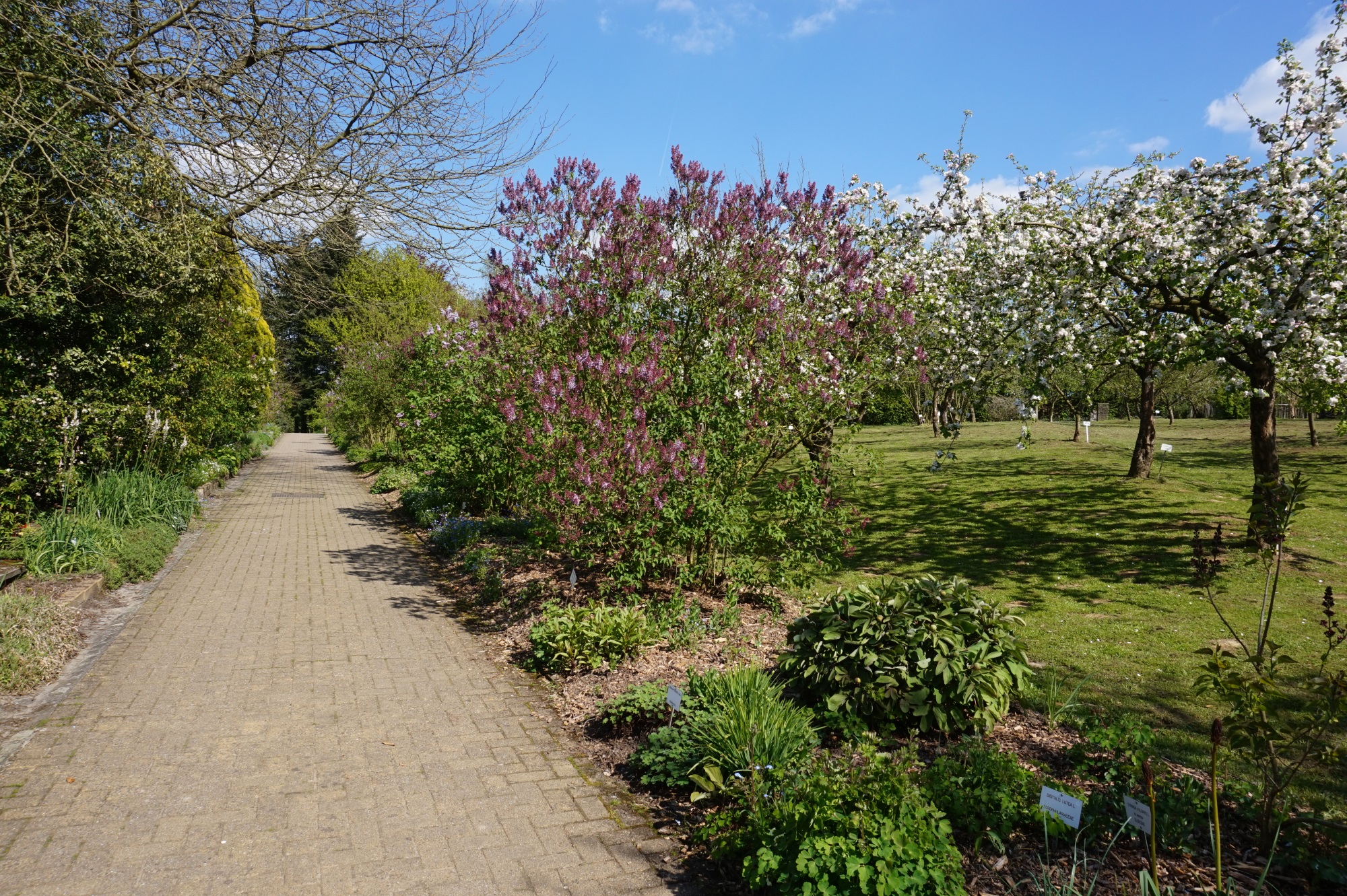 Discovery of botanical collections - Jardin Jean Massart