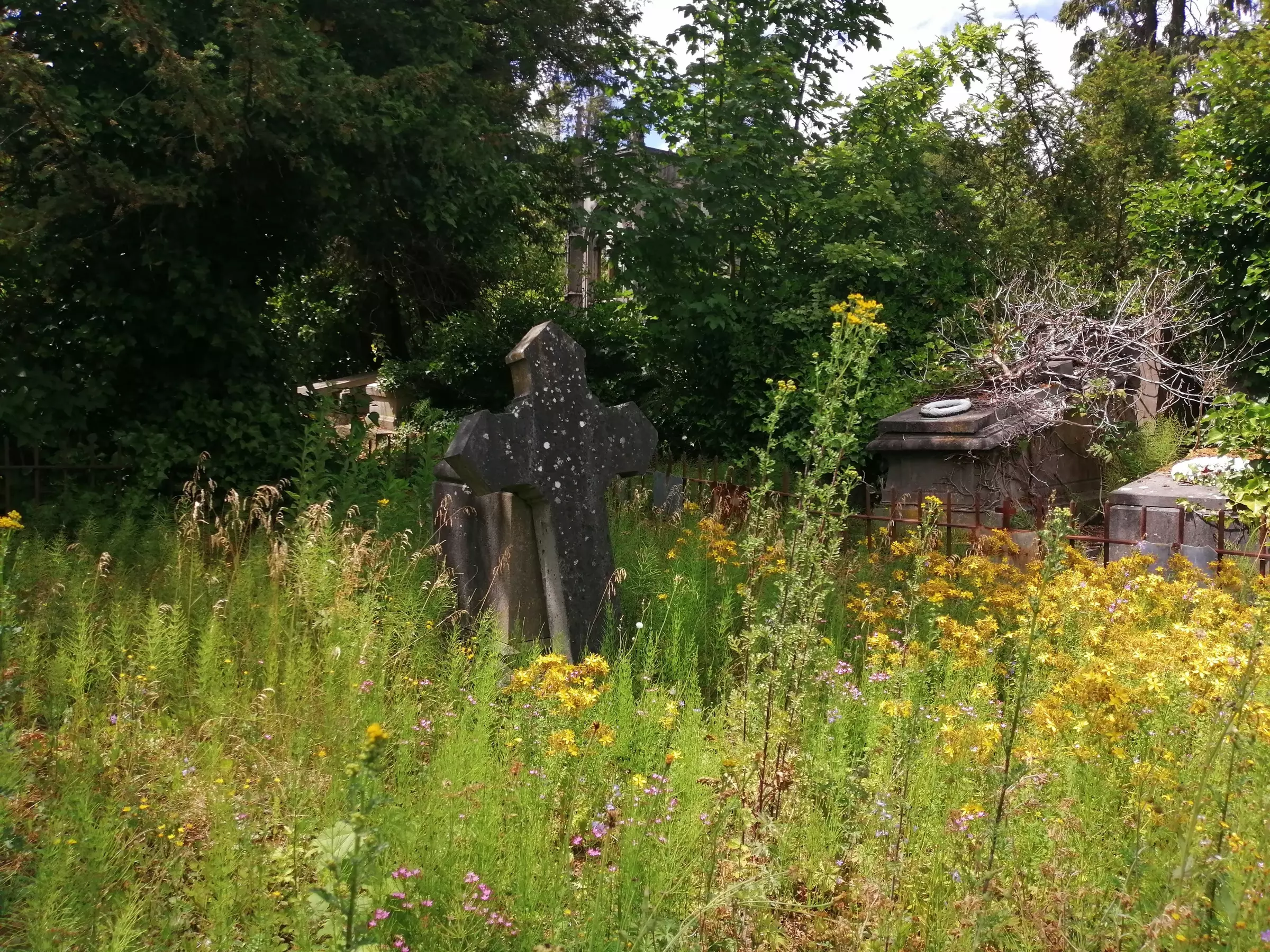 The Dieweg cemetery