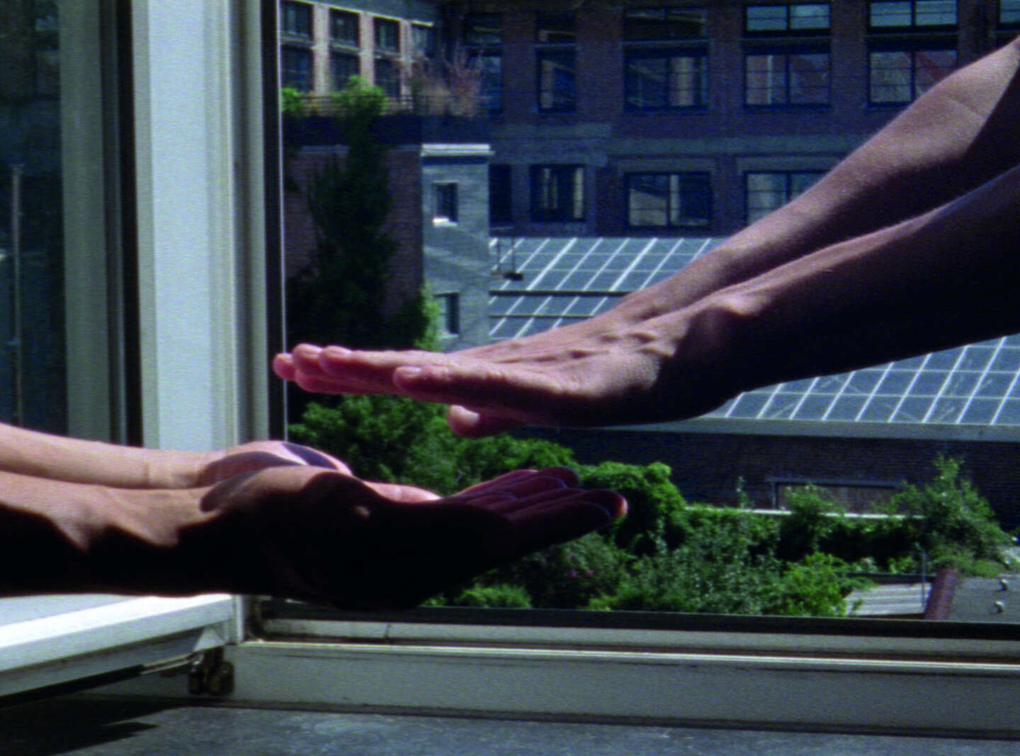 Flowers blooming in our throats', 16mm scanned to digital file, color, 4:3, stereo, IT/BE, 2020