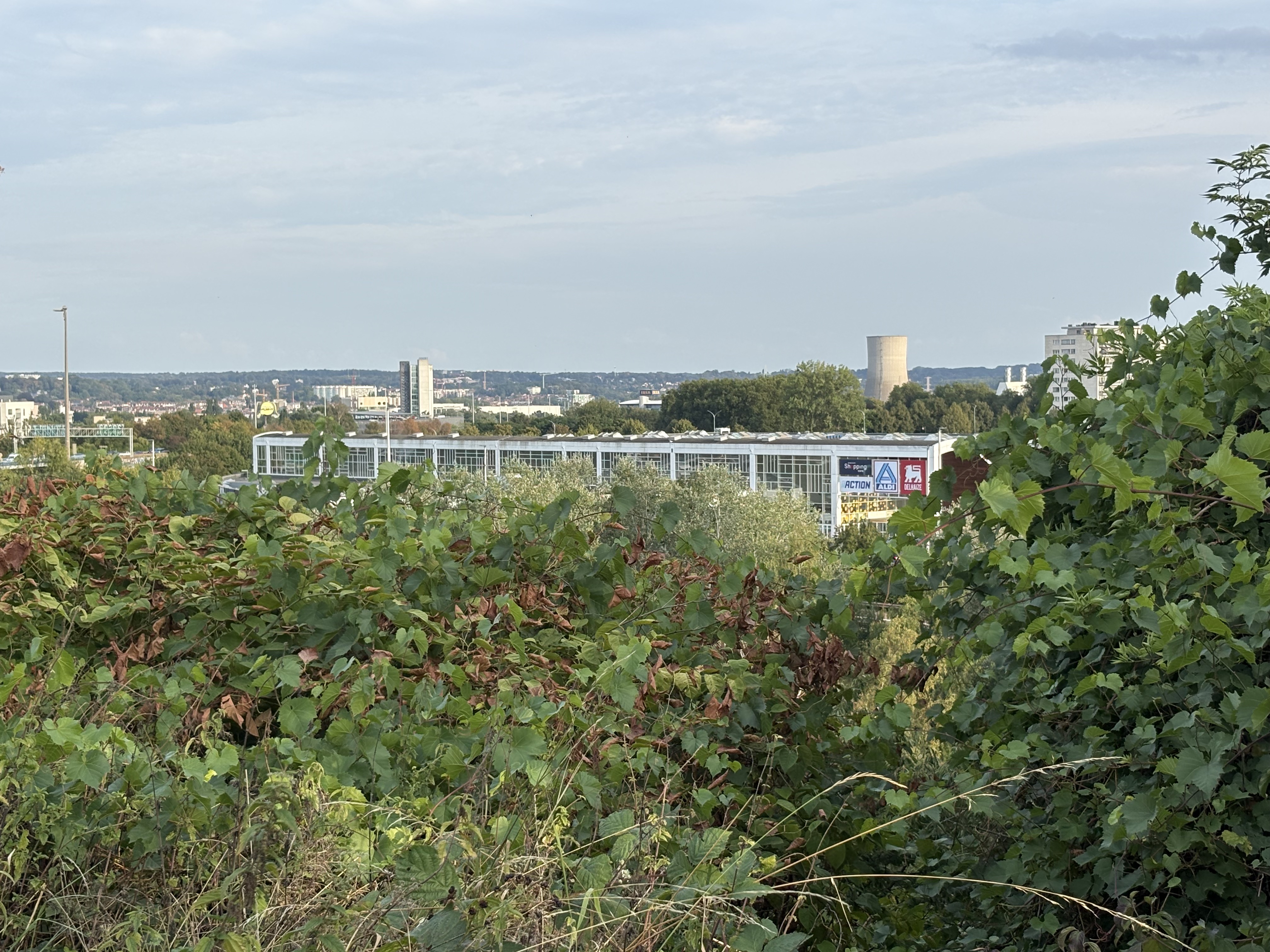 La butte raconte le paysage de Neerpede