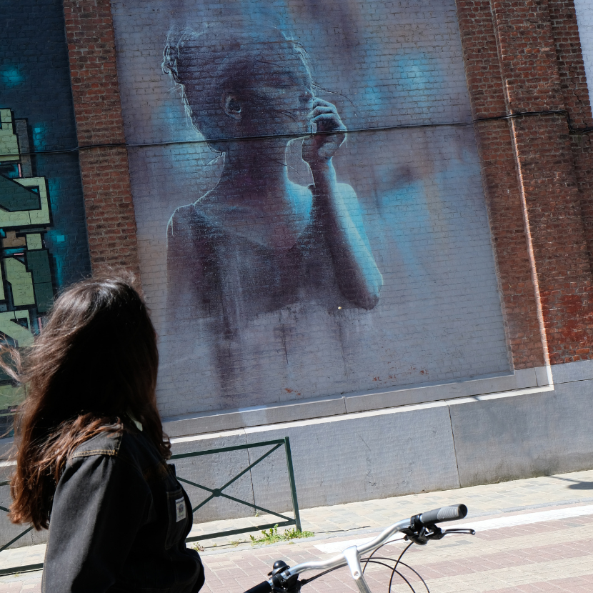 Street Art bruxellois — Pro Velo