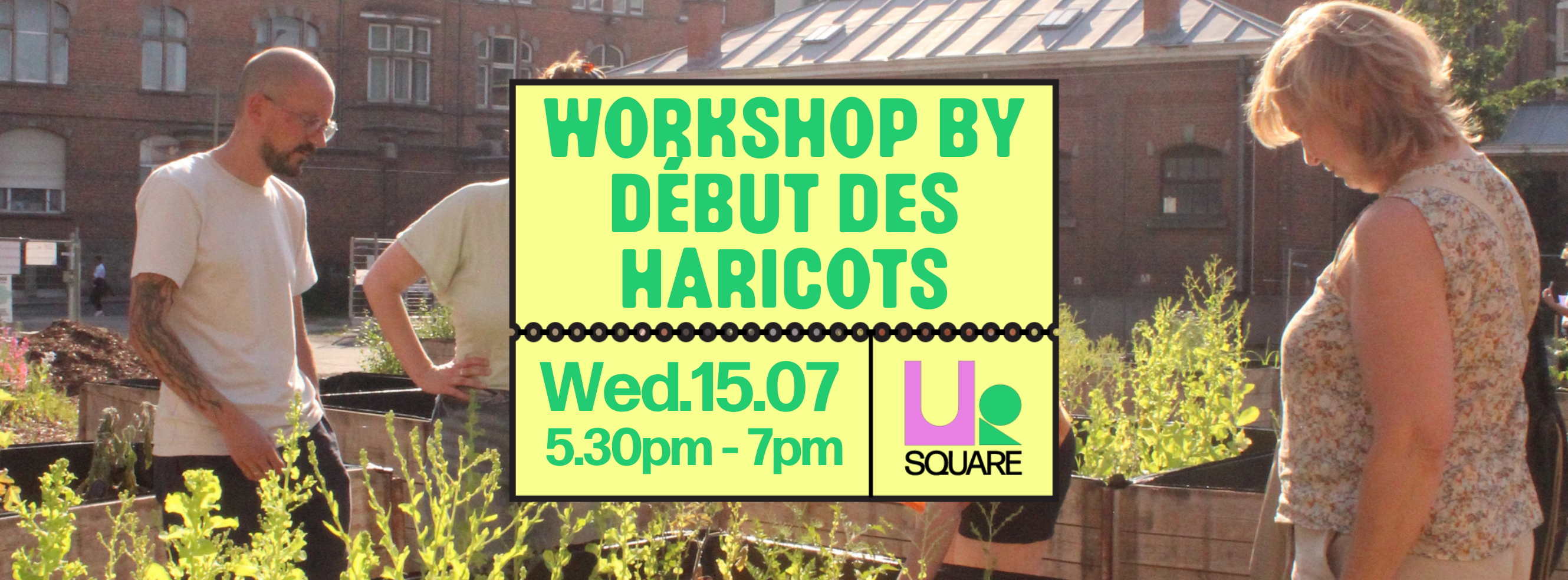 Atelier : Début des haricots