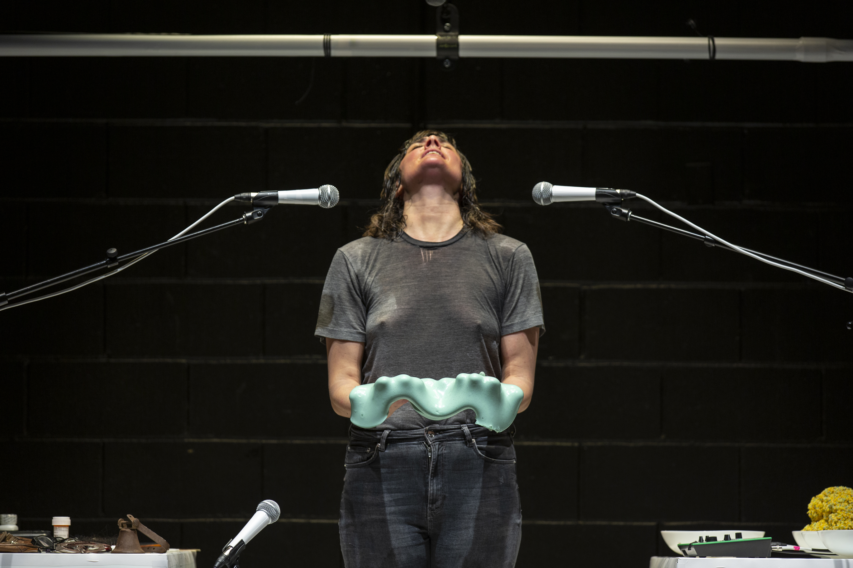 Faye Driscoll - With or Without You