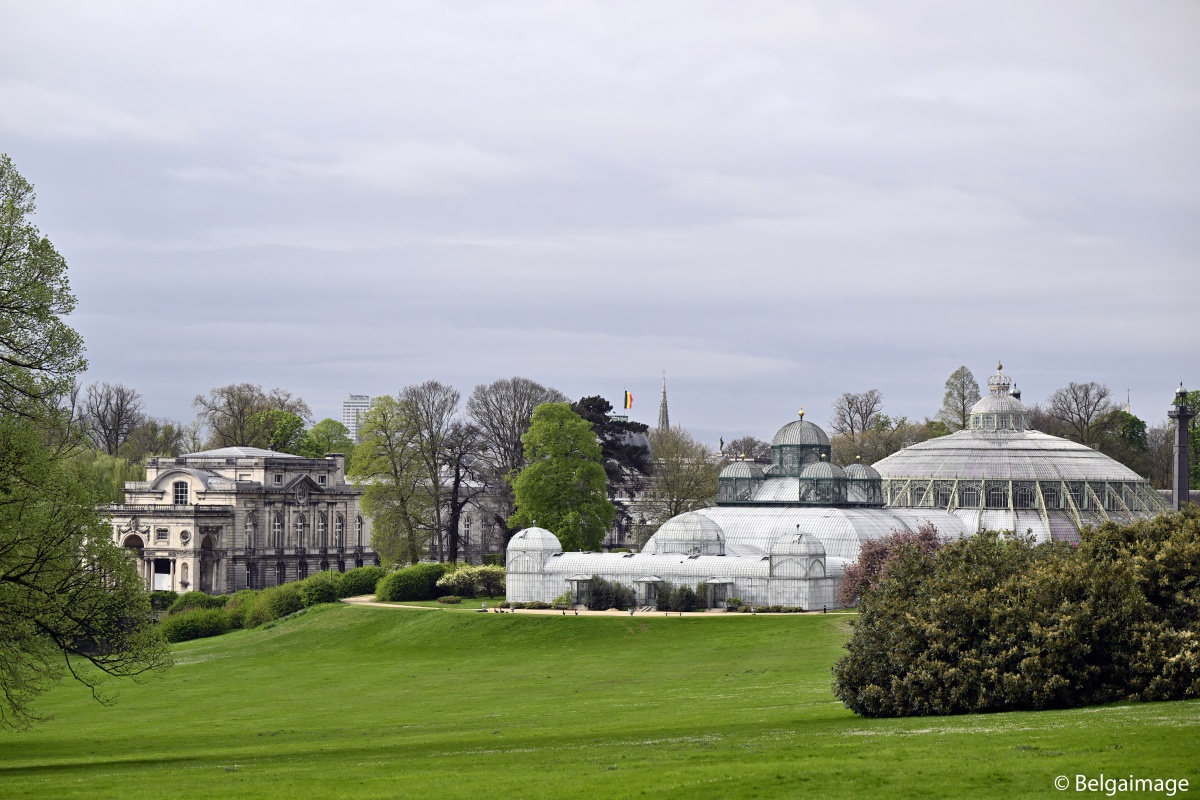 Ouverture des Serres Royales de Laeken
