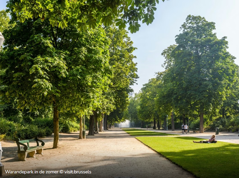 Warandepark: het groene kruispunt van de macht