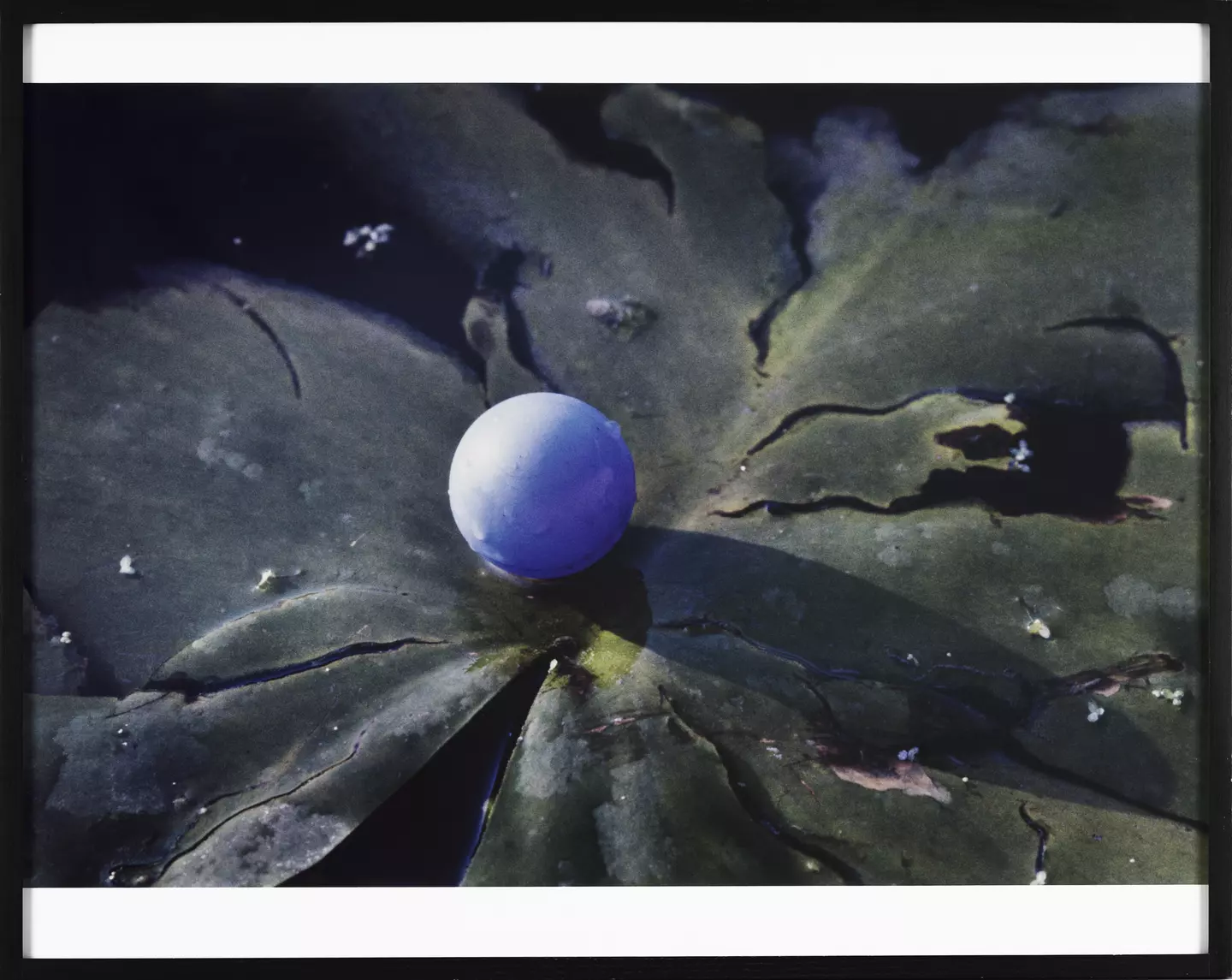 30 ans de la Proxiums Art Collection - Conversation Poem