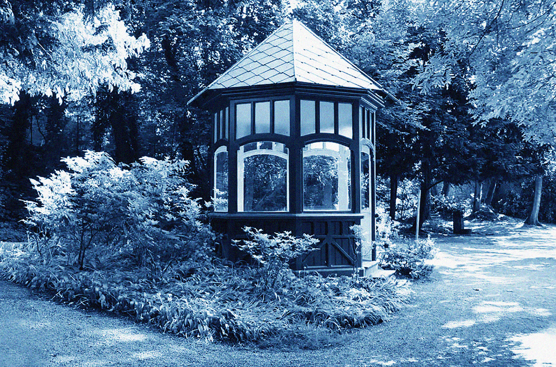 atelier cyanotypie Jumpertz