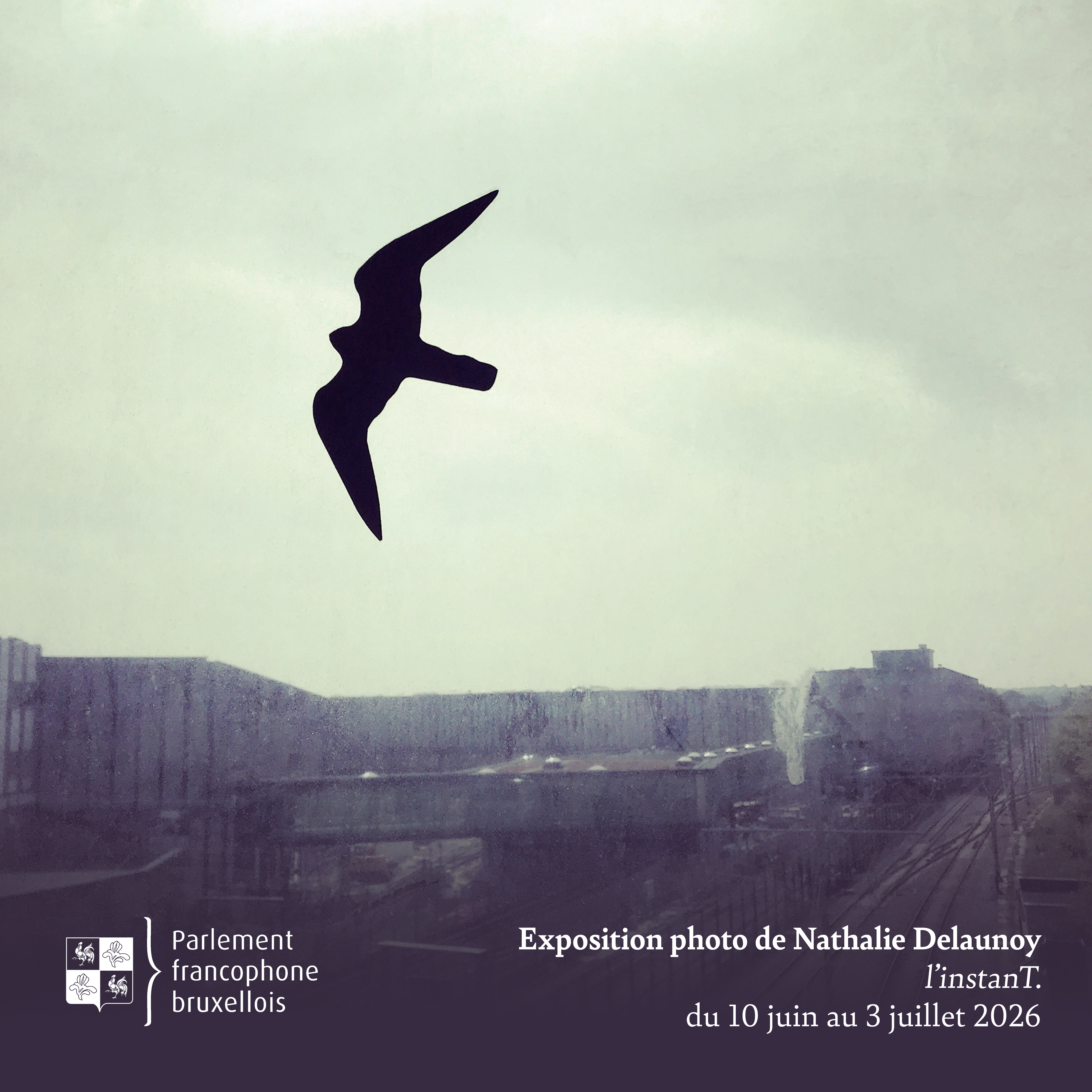 Expo photo "l'instanT." de Nathalie Delaunoy