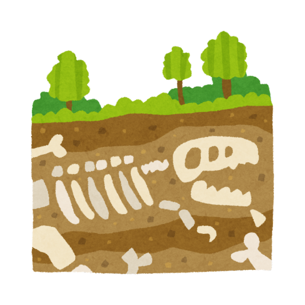 Mercredi sciences : Expédition dino